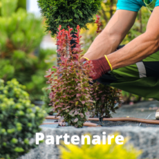 Jardinage